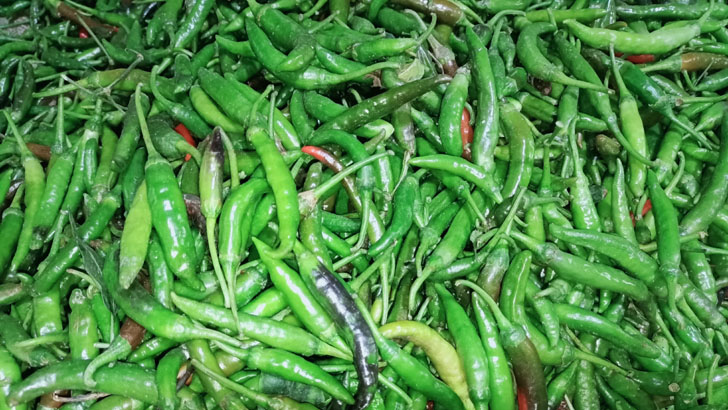 ভারত থেকে তিন দিনে এলো ১২৩ টন কাঁচামরিচ