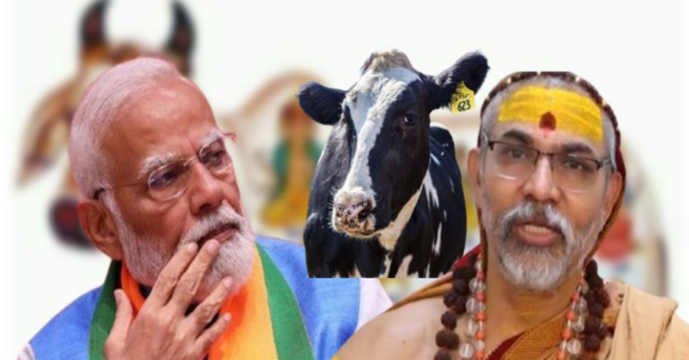 ভারতে গরুকে ‘রাষ্ট্রমাতা’ ঘোষণার দাবি, মোদিকে ৩৩ দিনের আল্টিমেটাম