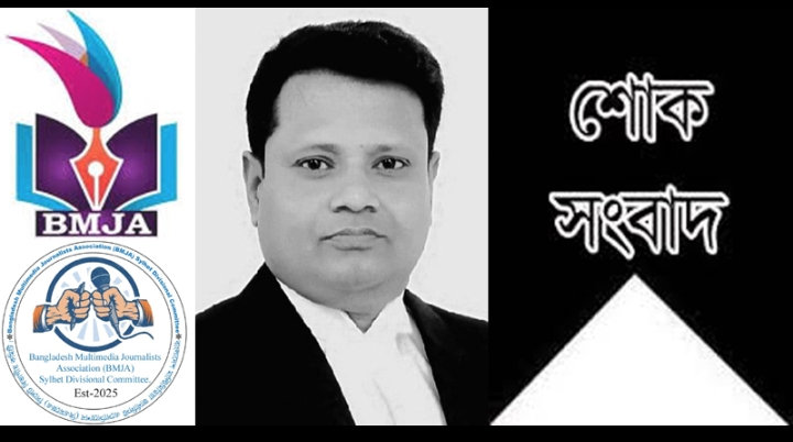 সাংবাদিক কাইয়ুম উল্লাসের বড় ভাই আব্দুল মালিকের মৃত্যুতে বিএমজেএ সিলেট বিভাগীয় কমিটির শোক
