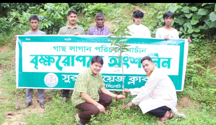 সুরমা বয়েজ ক্লাবের উদ্যোগে দিনব্যাপী বৃক্ষরোপণ