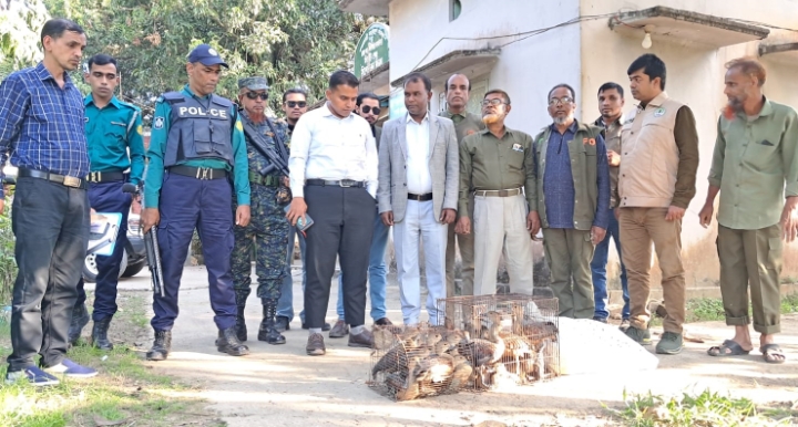 সিলেটের চন্ডিপুলে বস্তাবন্দী ৫৬টি পাখি উদ্ধারের পর আকাশে অবমুক্ত
