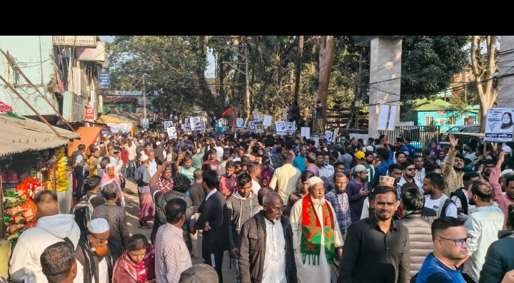 বিশ্বনাথে ধানের শীষের সমর্থনে লুনার বিশাল শোডাউন
