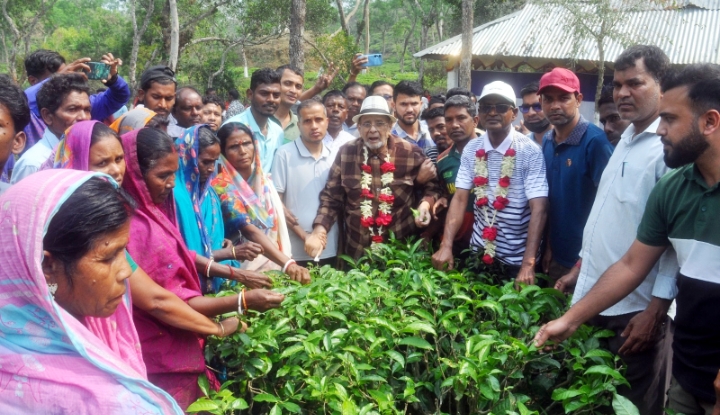 মালিক-শ্রমিক ঐক্যের মাধ্যমে চা শিল্পের ঐতিহ্য ফেরাতে হবে: ড. রাগীব আলী