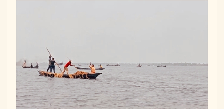 দিরাই কৃষকদের জমির ধান লুটের অভিযোগ পাওয়া গেছে