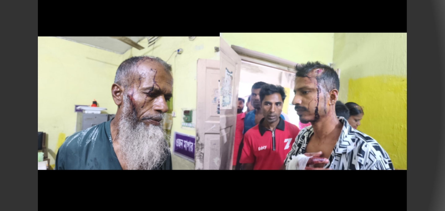 শ্যামনগরে জমি বিরোধে সংঘর্ষ: নারীসহ একই পরিবারের ৬ জন আহত...