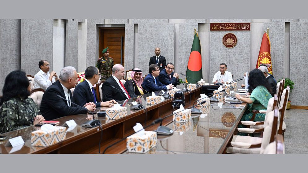 রোহিঙ্গা সমস্যা সমাধানে ওআইসি দেশগুলোর সমর্থন চাইলেন প্রধানমন্ত্রী