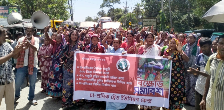 সিলেটে চা-শ্রমিকদের মজুরি বৃদ্ধির দাবিতে সড়ক অবরোধ ও বিক্ষোভ