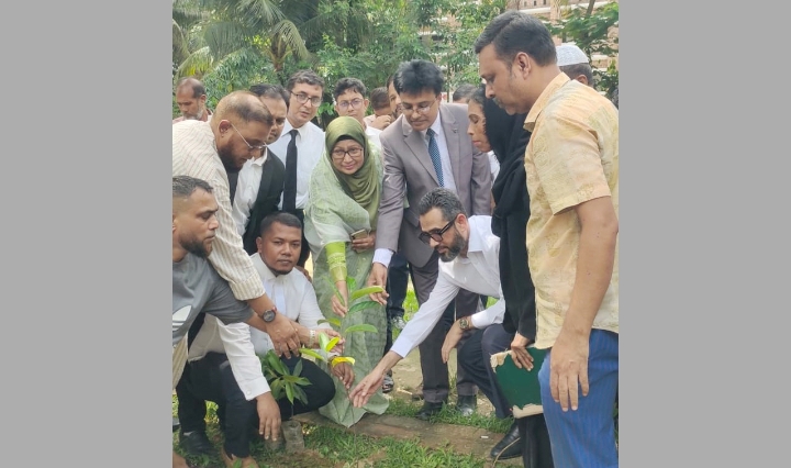 রোটারী ক্লাব অব সিলেট সিনার্জির বৃক্ষরোপণ কর্মসূচি অনুষ্ঠিত