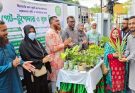 “সিলেটের ছাদ কৃষি” গ্রুপের গেট টুগেদার ও বৃক্ষ বিতরণ অনুষ্ঠিত