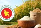 হাওর অঞ্চলে ধান-চাল সংগ্রহ শুরু রোববার