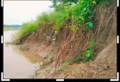 গোলাপগঞ্জে শিংপুর ডাইক ভাঙন, আতঙ্কে এলাকাবাসী
