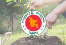 ২৫ কোটি গাছ রোপণ করে বিলিয়ন ডলার আয় করতে পারে বাংলাদেশ