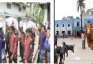 শাহজালাল-দরগাহ মাদরাসার ৫০ জন শিক্ষার্থী দিয়ে টাকা গণনা করা হয়